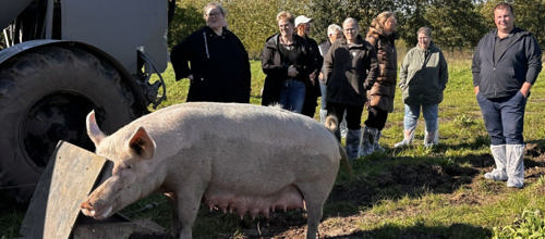 køkkenpersonale fra plejehjemskøkkenerne